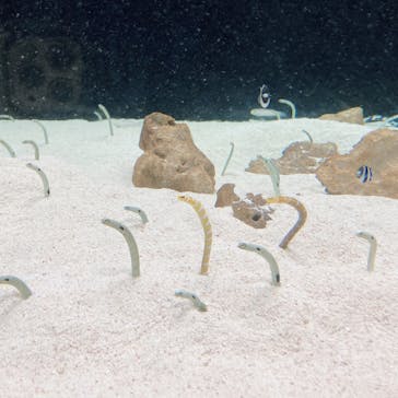 株式会社Gに投稿された画像（2021/1/5）