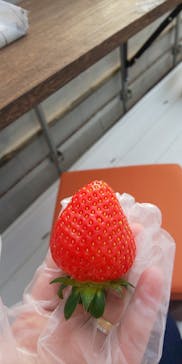 井上寅雄農園に投稿された画像（2021/1/5）