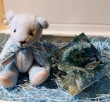 ずこうしつ〜sugamo〜に投稿された画像（2021/1/5）