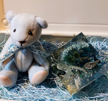 ずこうしつ〜sugamo〜に投稿された画像（2021/1/5）