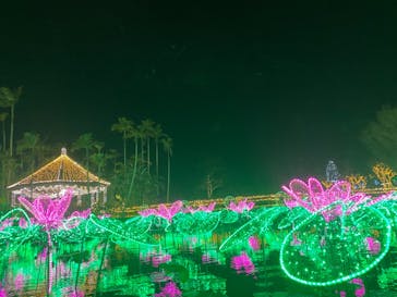 美らヤシパークオキナワ・東南植物楽園に投稿された画像（2021/1/5）