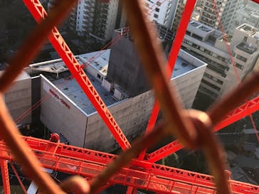 東京タワーに投稿された画像（2021/1/5）