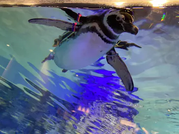 すみだ水族館に投稿された画像（2021/1/5）