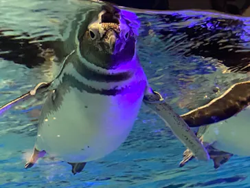 すみだ水族館に投稿された画像（2021/1/5）