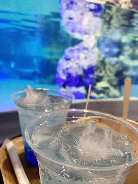 すみだ水族館に投稿された画像（2021/1/5）