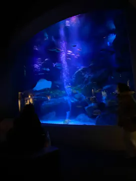 すみだ水族館に投稿された画像（2021/1/5）