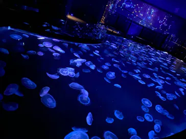 すみだ水族館に投稿された画像（2021/1/5）