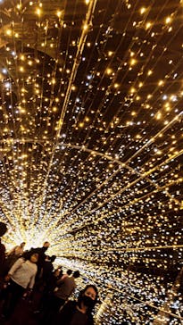 美らヤシパークオキナワ・東南植物楽園に投稿された画像（2021/1/6）