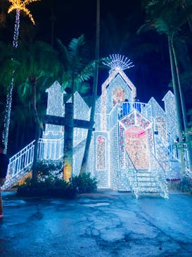 美らヤシパークオキナワ・東南植物楽園に投稿された画像（2021/1/6）