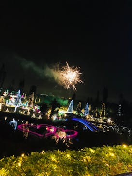 美らヤシパークオキナワ・東南植物楽園に投稿された画像（2021/1/6）