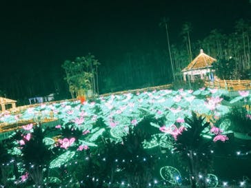 美らヤシパークオキナワ・東南植物楽園に投稿された画像（2021/1/6）