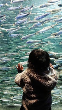 サンシャイン水族館に投稿された画像（2021/1/6）