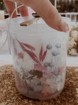 ずこうしつ〜sugamo〜に投稿された画像（2021/1/6）