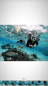 DIVING-SHOP SUNSに投稿された画像（2021/1/6）