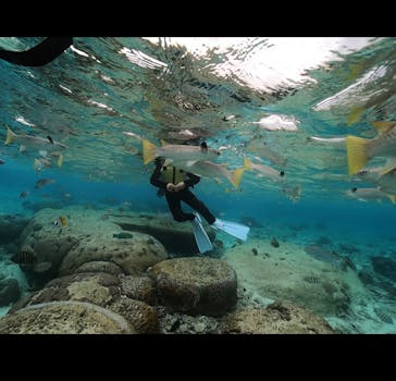 DIVING-SHOP SUNSに投稿された画像（2021/1/6）