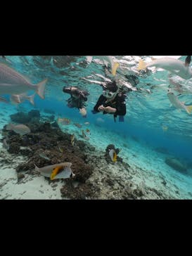 DIVING-SHOP SUNSに投稿された画像（2021/1/6）