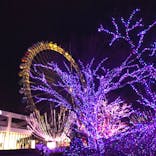 よみうりランド 遊園地に投稿された画像（2021/1/6）