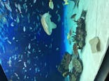 サンシャイン水族館に投稿された画像（2021/1/7）