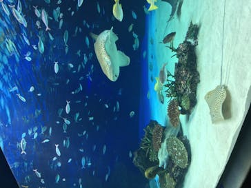 サンシャイン水族館に投稿された画像（2021/1/7）
