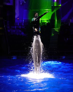 マクセル アクアパーク品川に投稿された画像（2021/1/7）