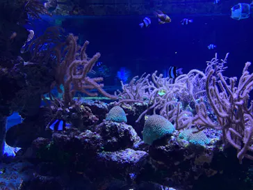 すみだ水族館に投稿された画像（2021/1/7）