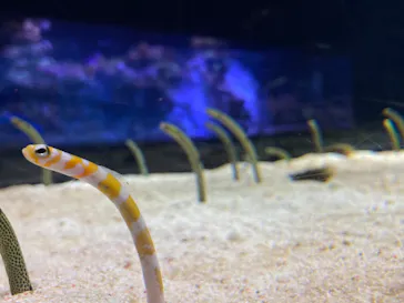 すみだ水族館に投稿された画像（2021/1/7）