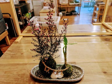 伊勢夫婦岩めおと横丁　めおと岩アクティビティに投稿された画像（2021/1/7）