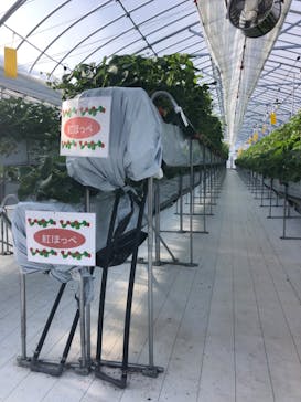 井上寅雄農園に投稿された画像（2021/1/7）