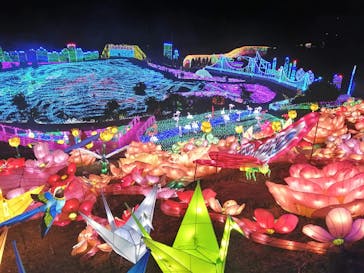 伊豆ぐらんぱる公園に投稿された画像（2021/1/7）