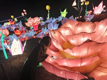 伊豆ぐらんぱる公園に投稿された画像（2021/1/7）