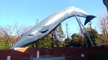 国立科学博物館に投稿された画像（2021/1/7）