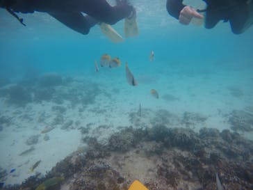 武藤潜水に投稿された画像（2021/1/8）