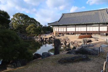 元離宮二条城に投稿された画像（2021/1/8）