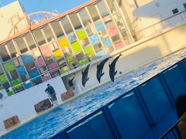 伊豆・三津シーパラダイスに投稿された画像（2021/1/8）