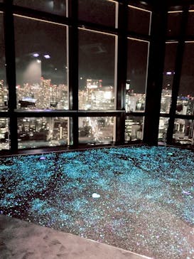 東京タワーに投稿された画像（2021/1/8）