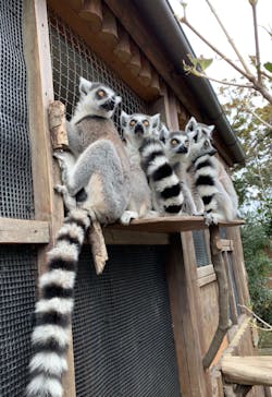 神戸どうぶつ王国に投稿された画像（2021/1/8）