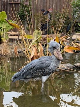 神戸どうぶつ王国に投稿された画像（2021/1/8）