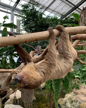 神戸どうぶつ王国に投稿された画像（2021/1/8）