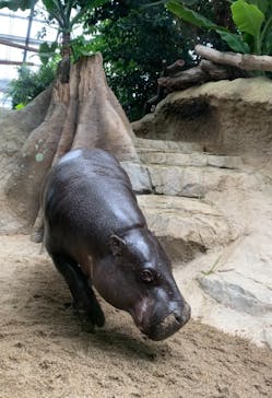 神戸どうぶつ王国に投稿された画像（2021/1/8）