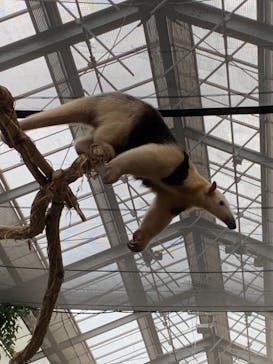 神戸どうぶつ王国に投稿された画像（2021/1/8）