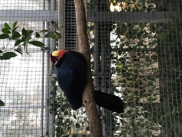 神戸どうぶつ王国に投稿された画像（2021/1/8）