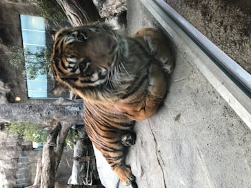 神戸どうぶつ王国に投稿された画像（2021/1/8）