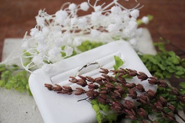 手づくり指輪の金工舎に投稿された画像（2021/1/8）