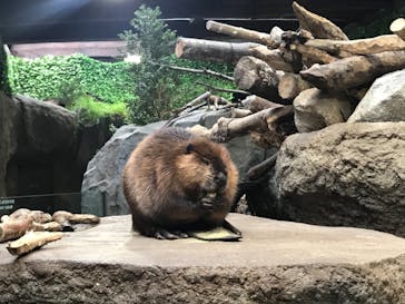 神戸どうぶつ王国に投稿された画像（2021/1/9）