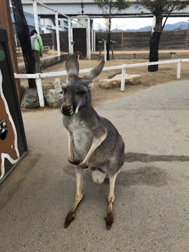 神戸どうぶつ王国に投稿された画像（2021/1/9）
