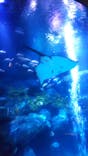 すみだ水族館に投稿された画像（2021/1/9）