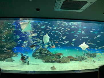 サンシャイン水族館に投稿された画像（2021/1/9）