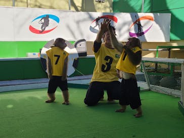 おさるランド＆アニタウン　日光さる軍団劇場に投稿された画像（2021/1/9）