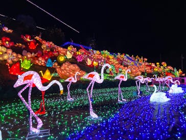 伊豆ぐらんぱる公園に投稿された画像（2021/1/9）