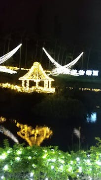 美らヤシパークオキナワ・東南植物楽園に投稿された画像（2021/1/9）